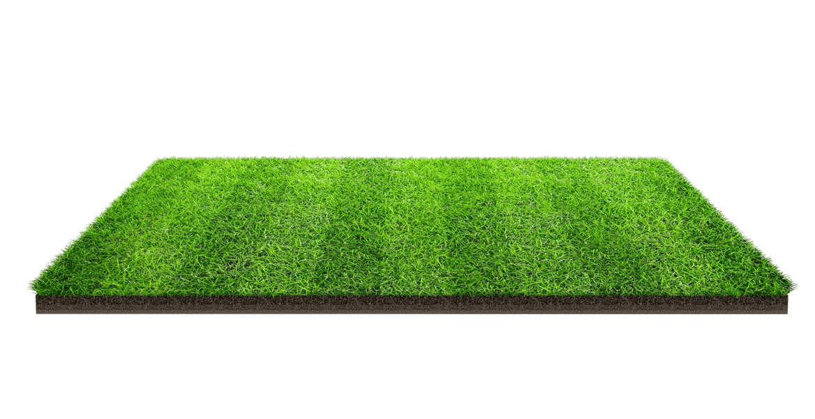 A patch of freshly-mowed lawn.