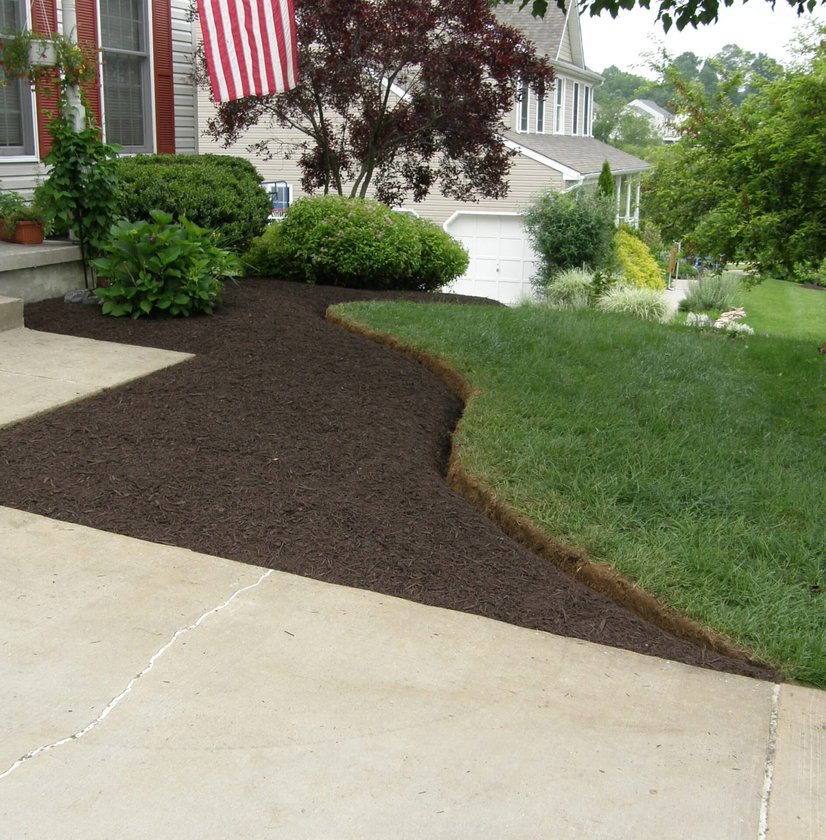 A well-maintained front yard with dark brown mulch bordering a cleanly edged, healthy green lawn and concrete walkway, enhanced by carefully placed shrubs and trees.