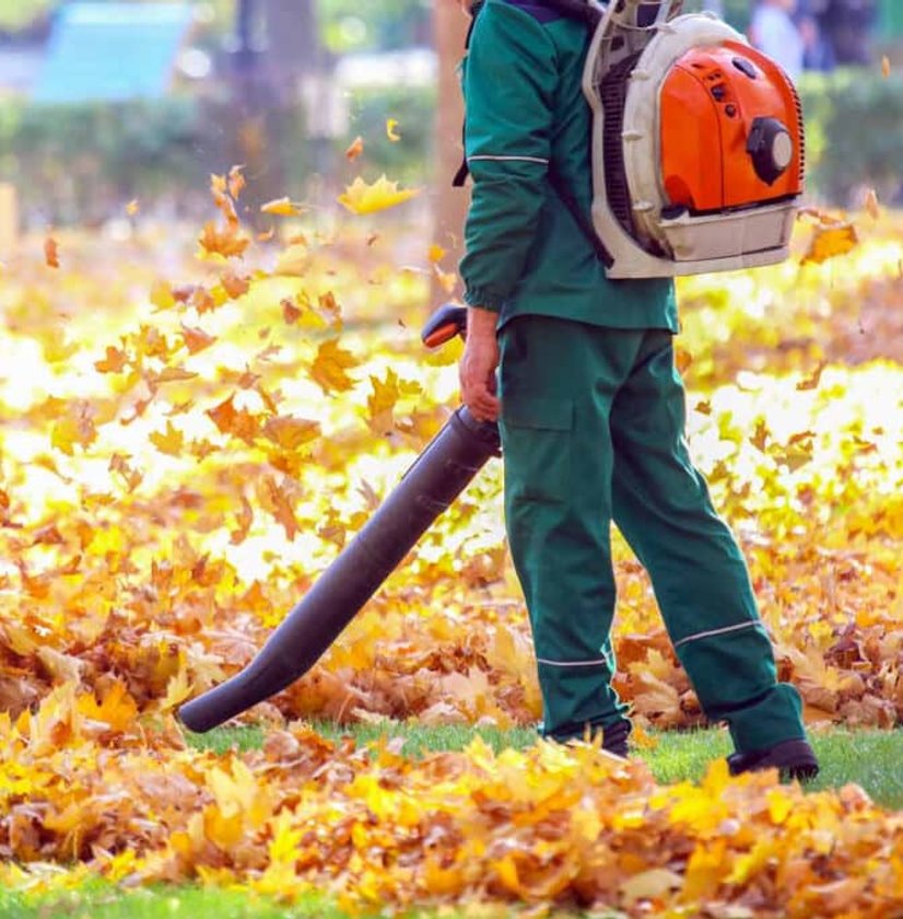 A landscaper clearing fallen autumn leaves with a leaf blower.
