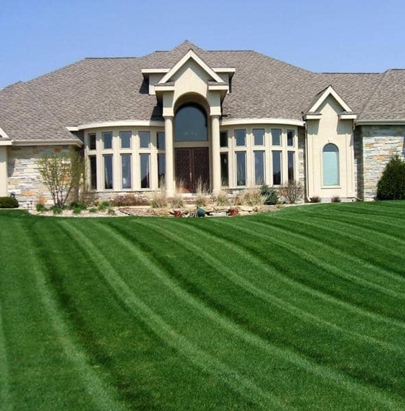 A well-manicured lawn with distinct mowing patterns in front of a large, elegant house.